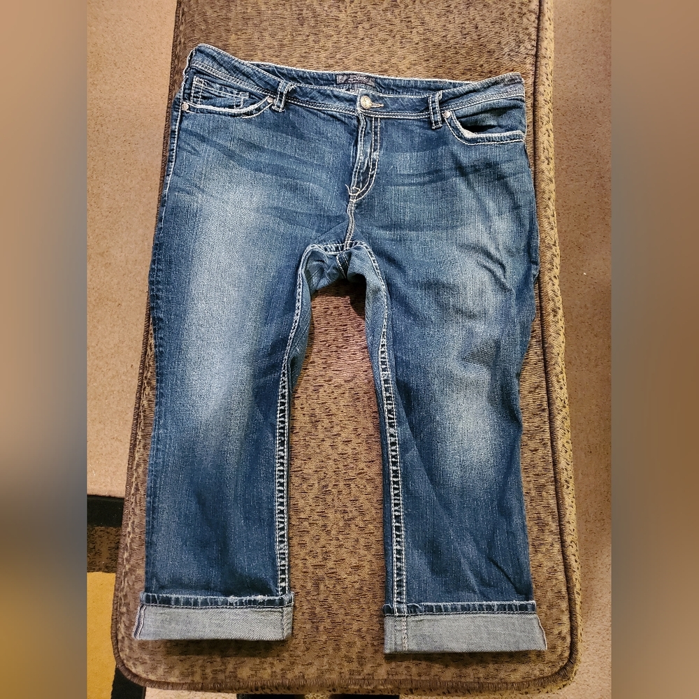 Plus Size Silver Capris Size 24
